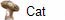 Catal�