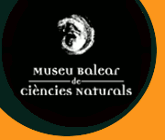 P�gina Museu